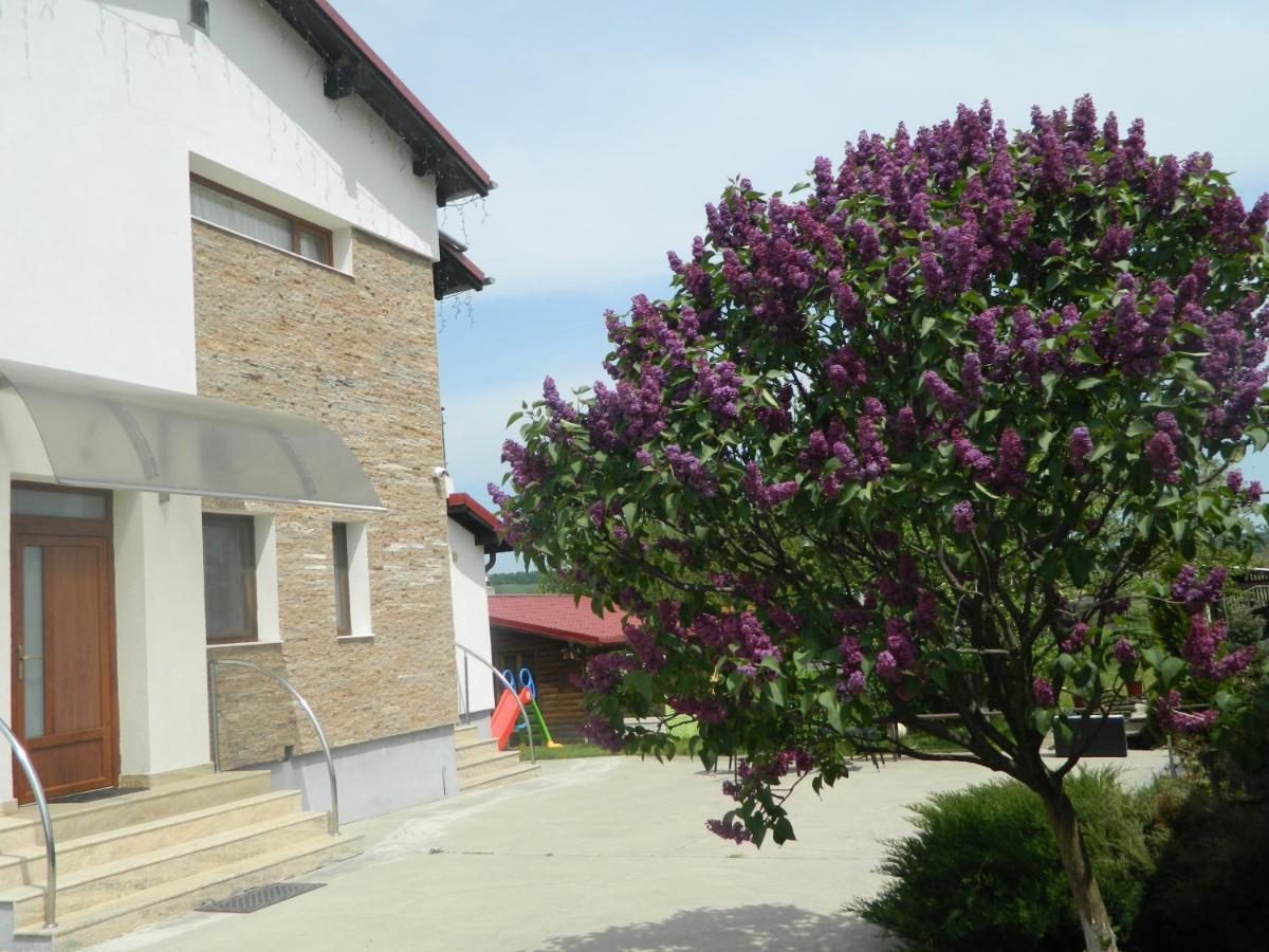 Hotel Mirana-Marginimea Sibiului Cristian  Esterno foto